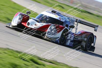 media/Feb-23-2024-CalClub SCCA (Fri) [[1aaeb95b36]]/Group 5/Qualifying (Star Mazda)/